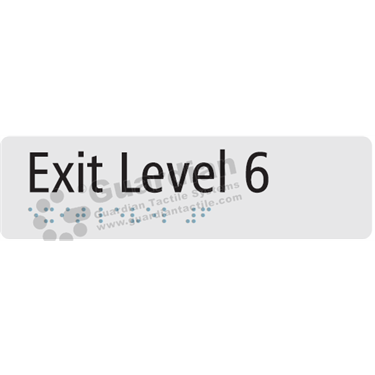 Exit Level 6 in Silver (180x50) [GBS-03EL6-SV]